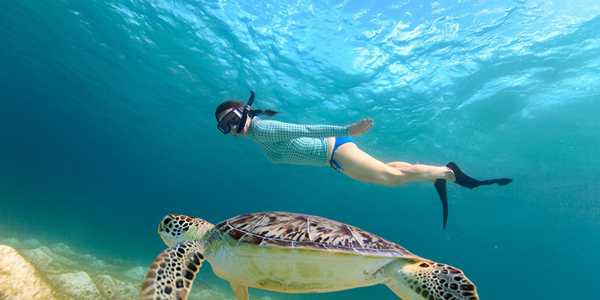 Snorkelling Spot Essentials: What to Pack and Expect